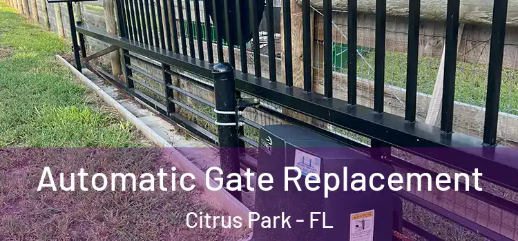 Automatic Gate Replacement Citrus Park - FL