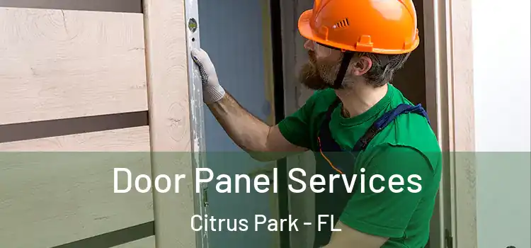  Door Panel Services Citrus Park - FL