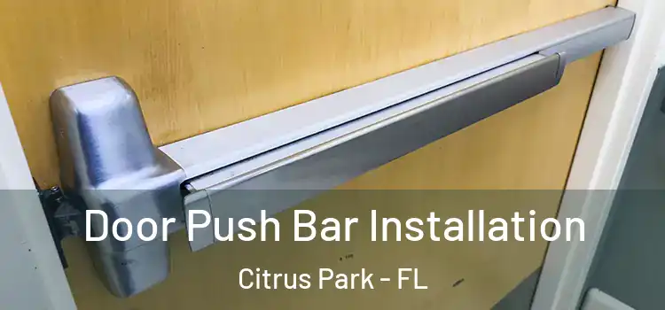  Door Push Bar Installation Citrus Park - FL