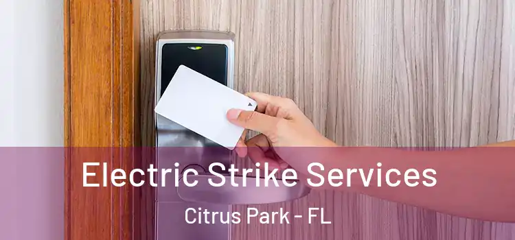  Electric Strike Services Citrus Park - FL
