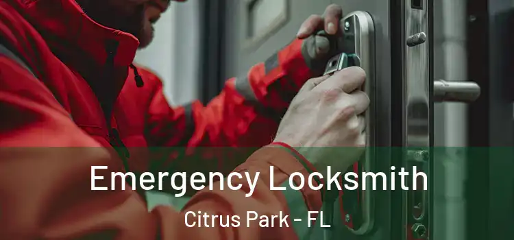 Emergency Locksmith Citrus Park - FL