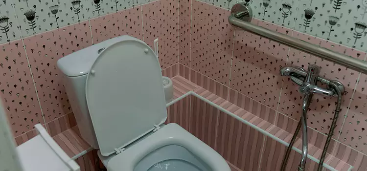 Meeting Diverse Needs With Accessible Restroom Solutions in Citrus Park, FL
