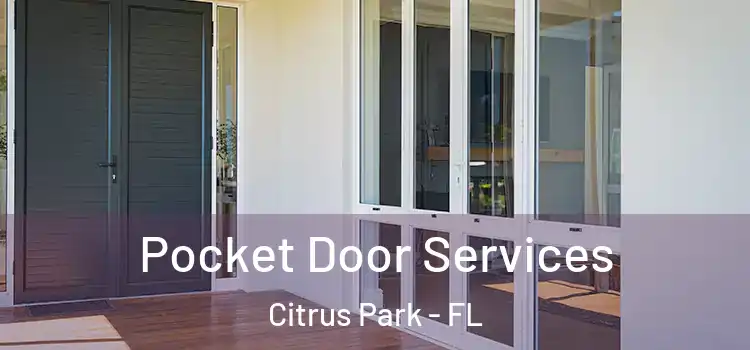Pocket Door Services Citrus Park - FL