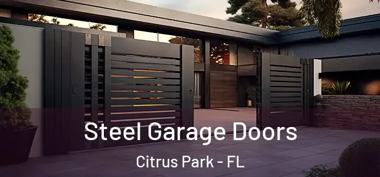 Steel Garage Doors Citrus Park - FL
